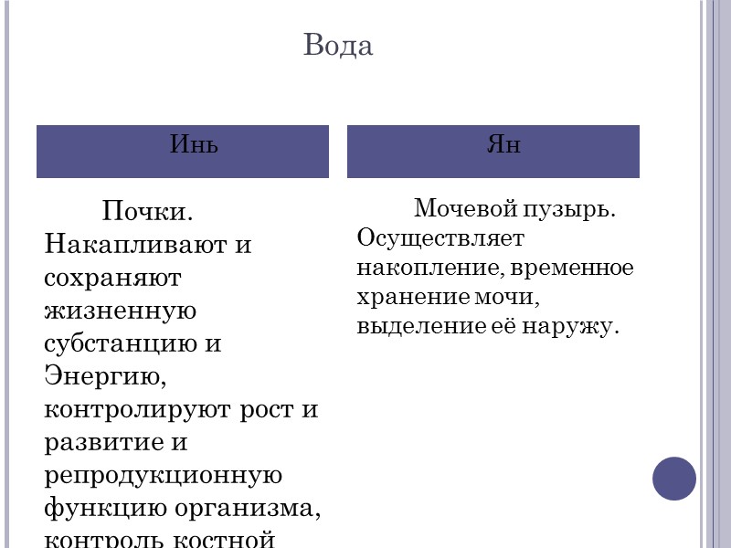 Вода  Почки. Накапливают и сохраняют жизненную субстанцию и Энергию, контролируют рост и развитие